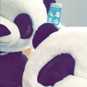 Meet your Posher, Lizbeth